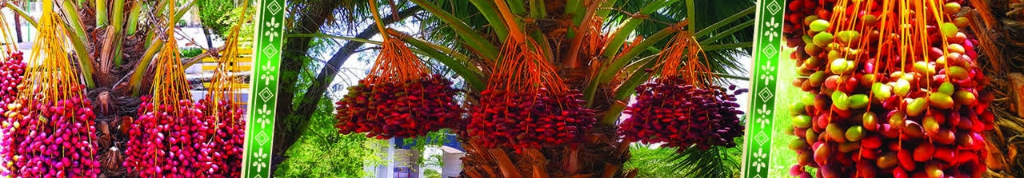 https://confold.velayat.ac.ir/scta8/